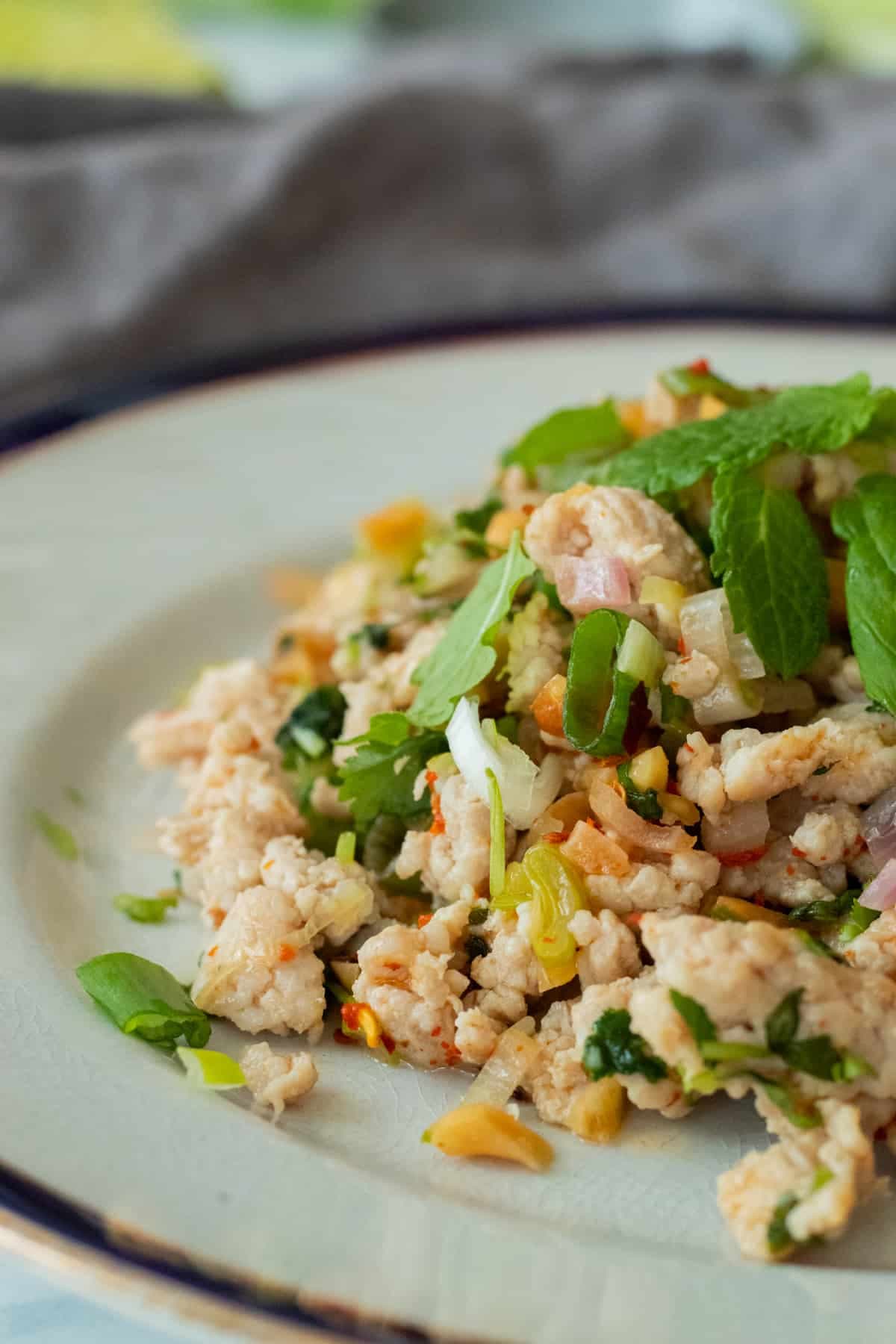 Larb Gai (Thai Minced Chicken Salad) - Image