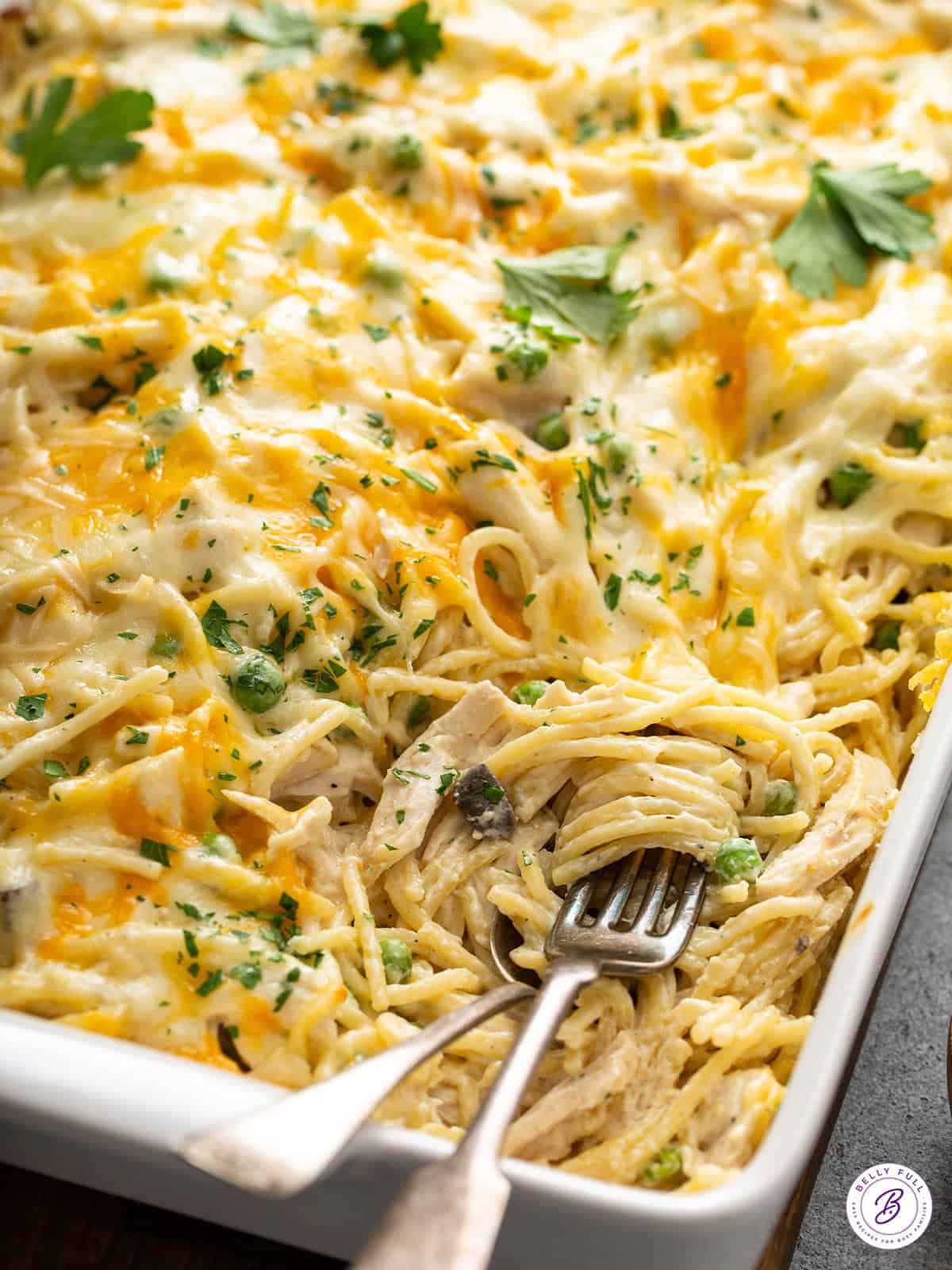 Creamy Chicken Tetrazzini - Image