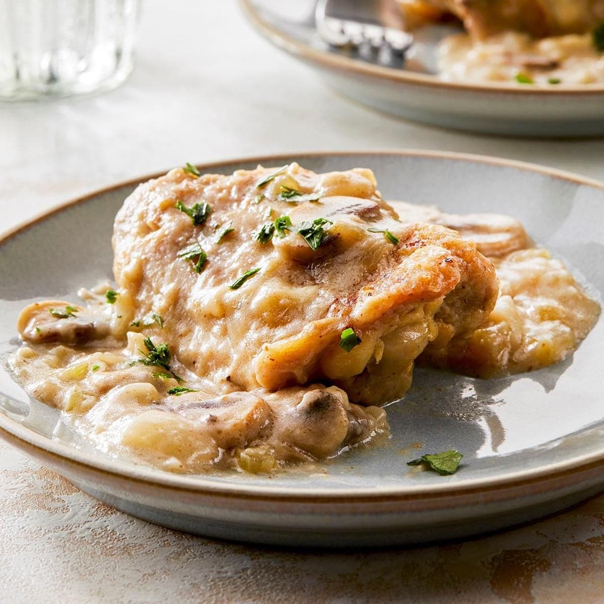 Old-Fashioned Chicken Fricassee - Image