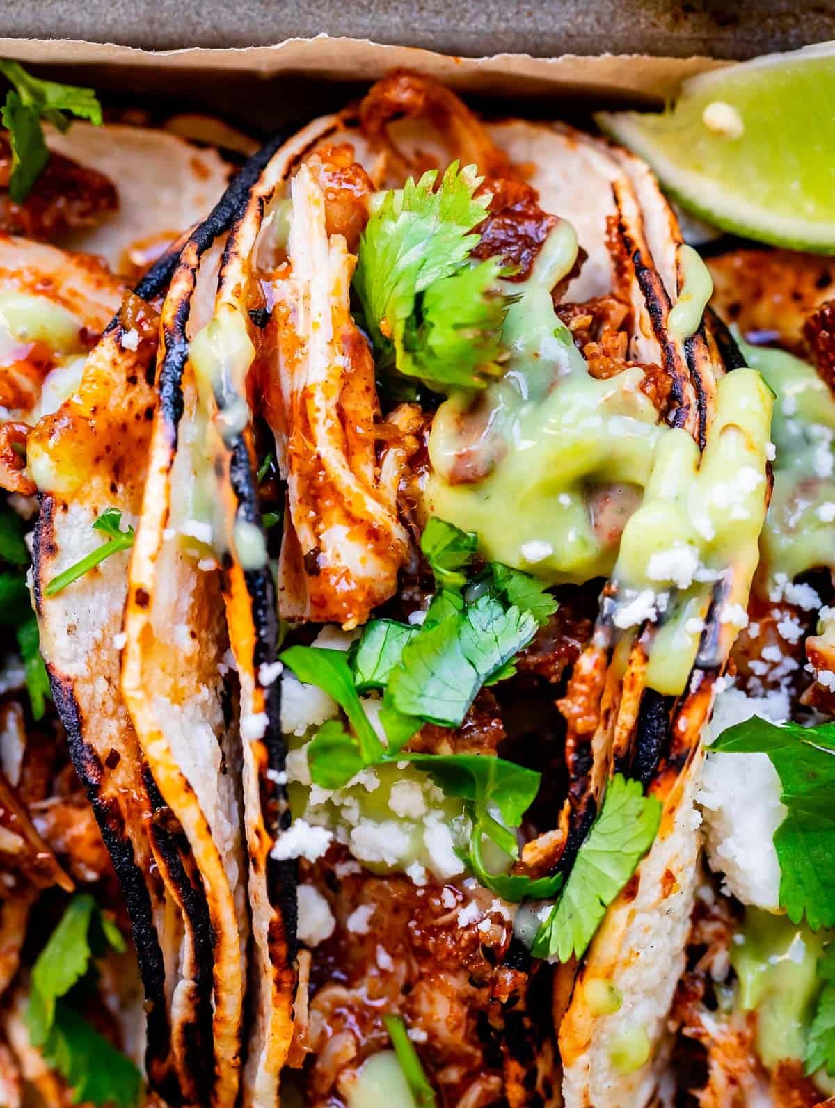 Taqueria-Style Chicken Tacos - Image