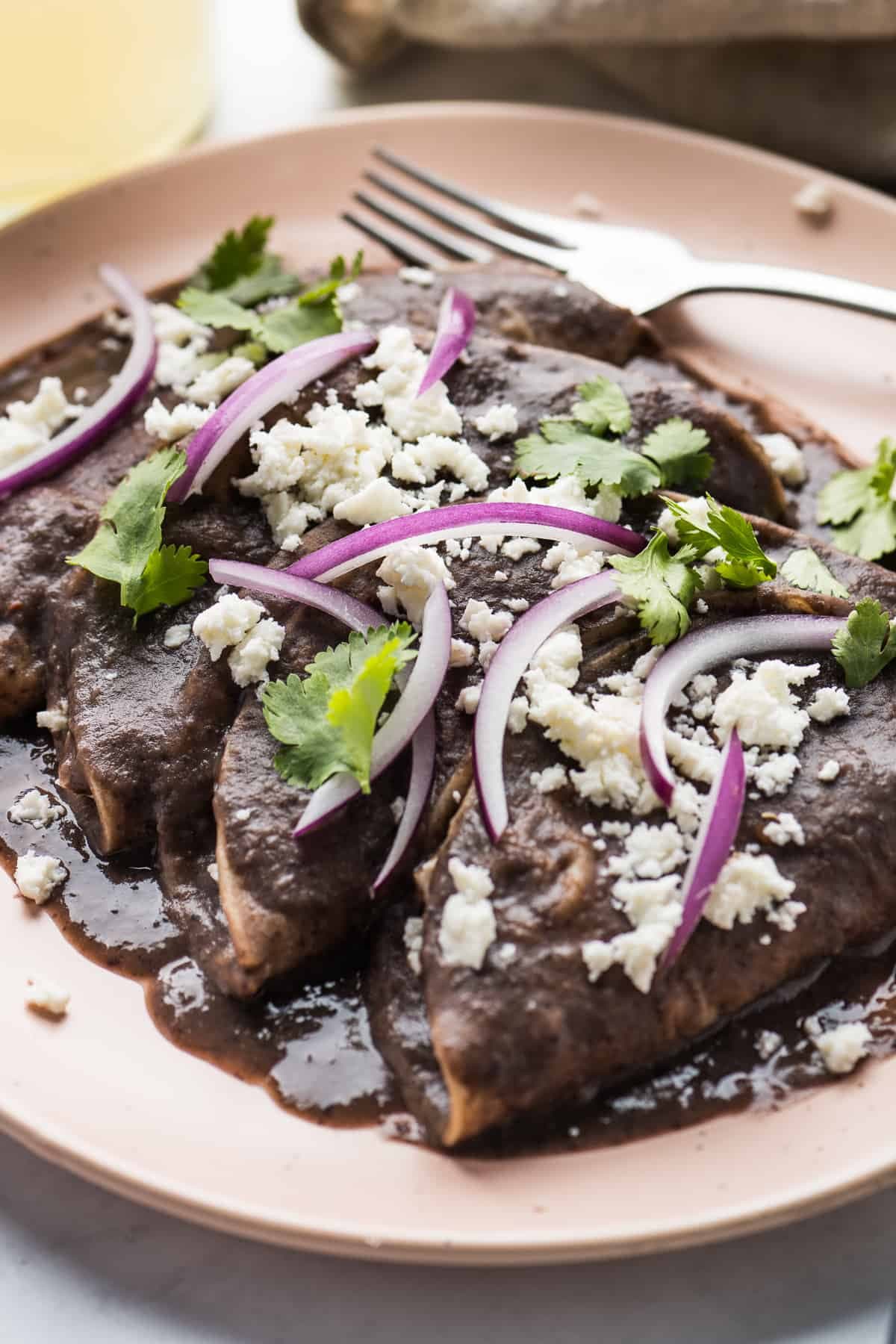 Enfrijoladas (Tortillas in Smoky Black Bean Sauce) - Image