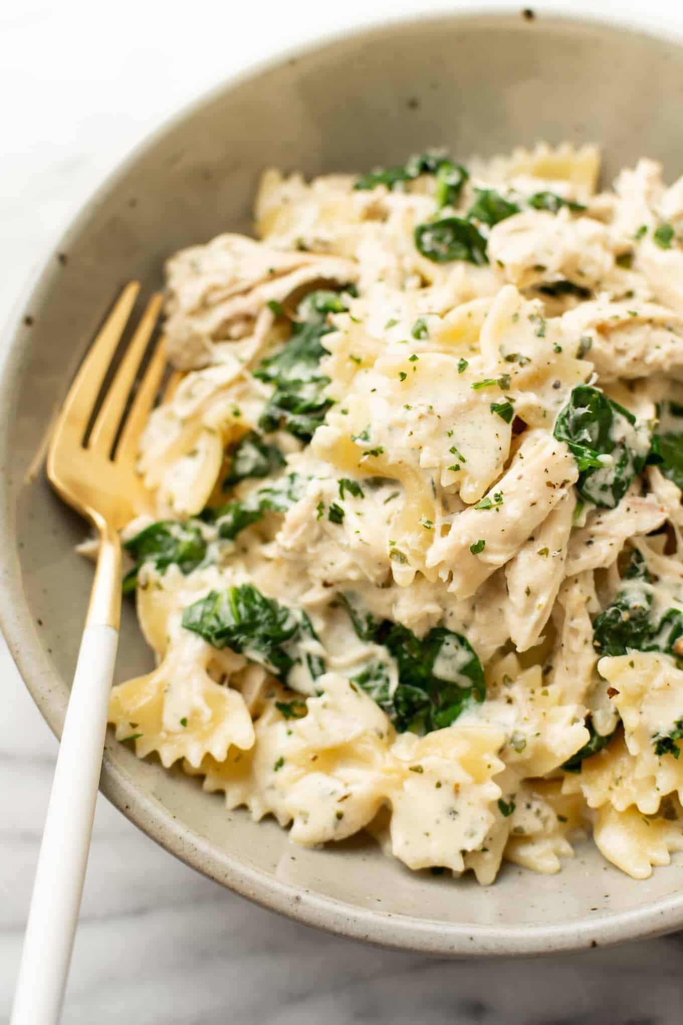 Boursin Chicken Pasta - Image