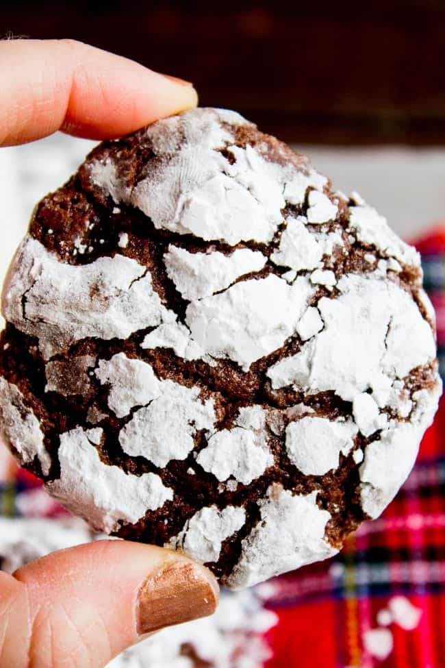 Fudgy Chocolate Crinkle Cookies - Image
