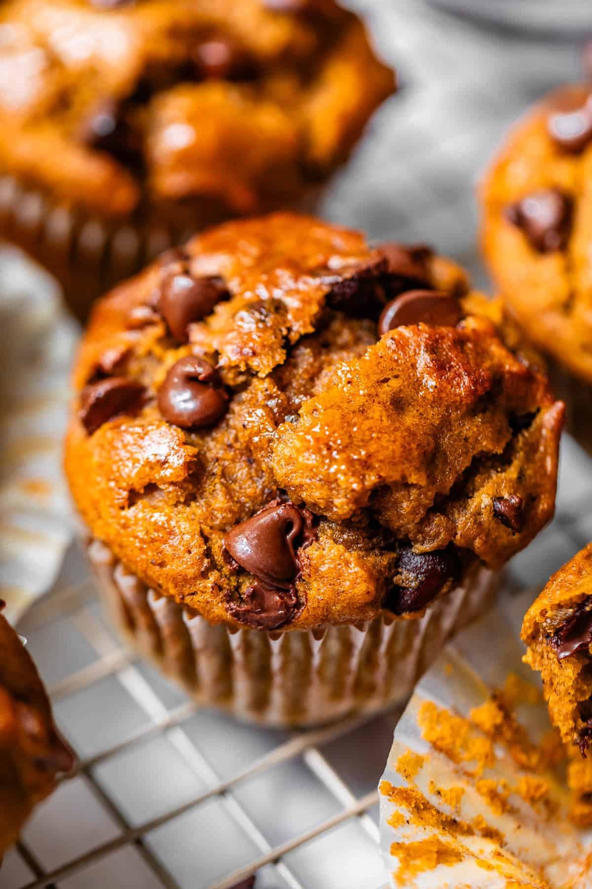 Pumpkin Chocolate Chip Muffins - Image