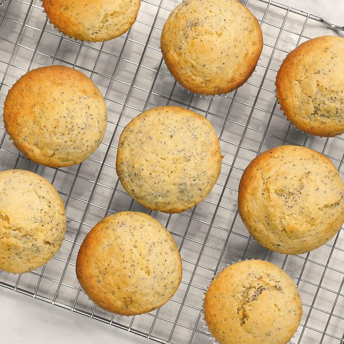Lemon Poppy Seed Muffins - Image