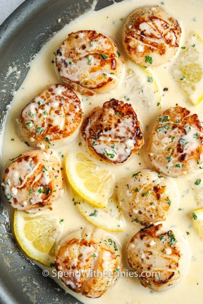 Scallops in Lemon Wine Sauce - Image