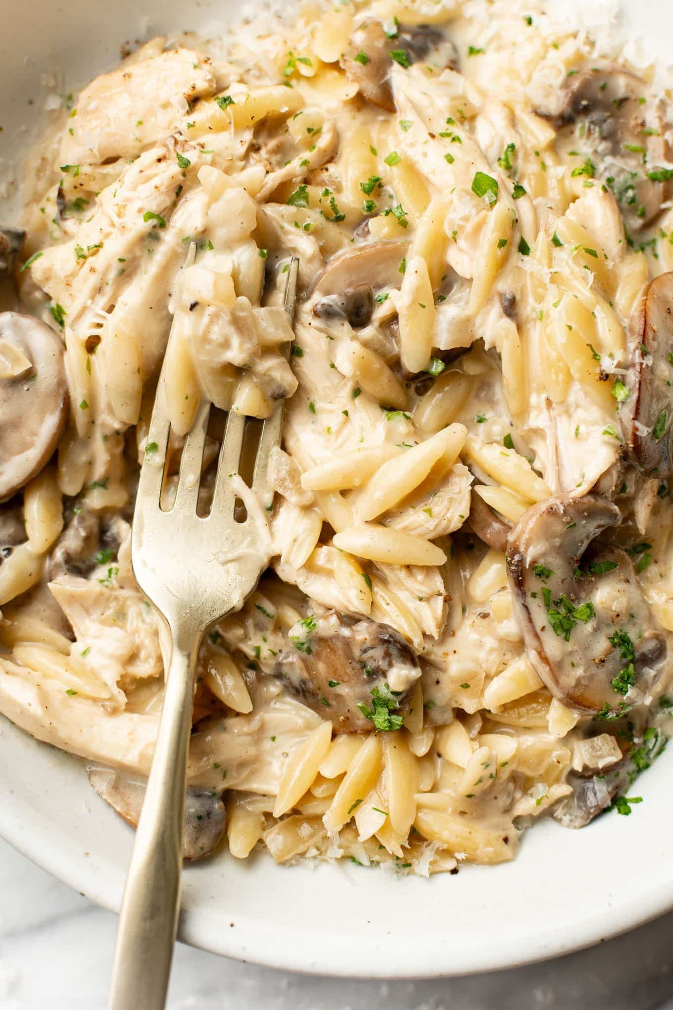 One-Pot Creamy Mushroom Chicken Orzo - Image